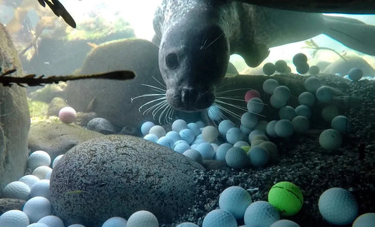 lost golf balls in ocean